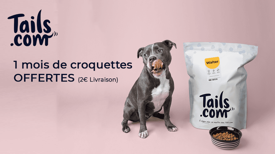 Offre TAILS 1 mois de croquettes pour seulement 2€ - C'est sur l'appli Fidme : Codes promos, bons plans exclusifs et Cartes de fidélité