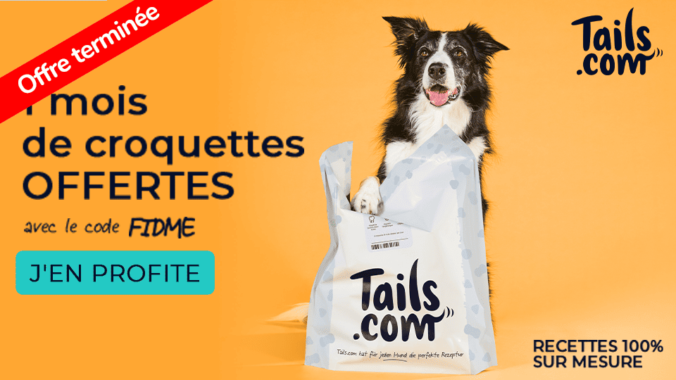 Code Promo TAILS 1 mois OFFERT de croquette - Offre exclu sur l'app Fidme (Cartes de fidélité, Réductions et Prospectus)