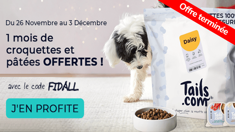 Offre Cadeau Offert croquettes gratuites pour votre chien sur TAILS - Code promo disponible sur Fidme (app wallet de Cartes de fidélité et Promotions)