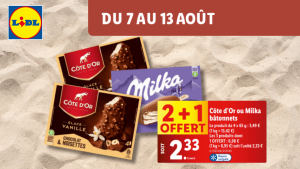 Promos Records chez LIDL 2+1 Offert - Catalogue Promo LIDL de la semaine disponible sur l'app Fidme (Cartes fidélité et Prospectus)
